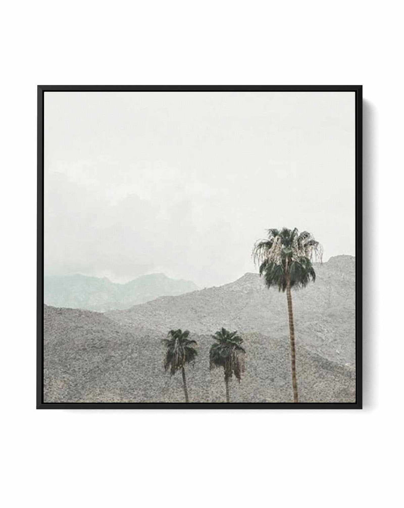 Mountains Of Palm Springs SQ | Framed Canvas-CANVAS-You can shop wall art online with Olive et Oriel for everything from abstract art to fun kids wall art. Our beautiful modern art prints and canvas art are available from large canvas prints to wall art paintings and our proudly Australian artwork collection offers only the highest quality framed large wall art and canvas art Australia - You can buy fashion photography prints or Hampton print posters and paintings on canvas from Olive et Oriel a