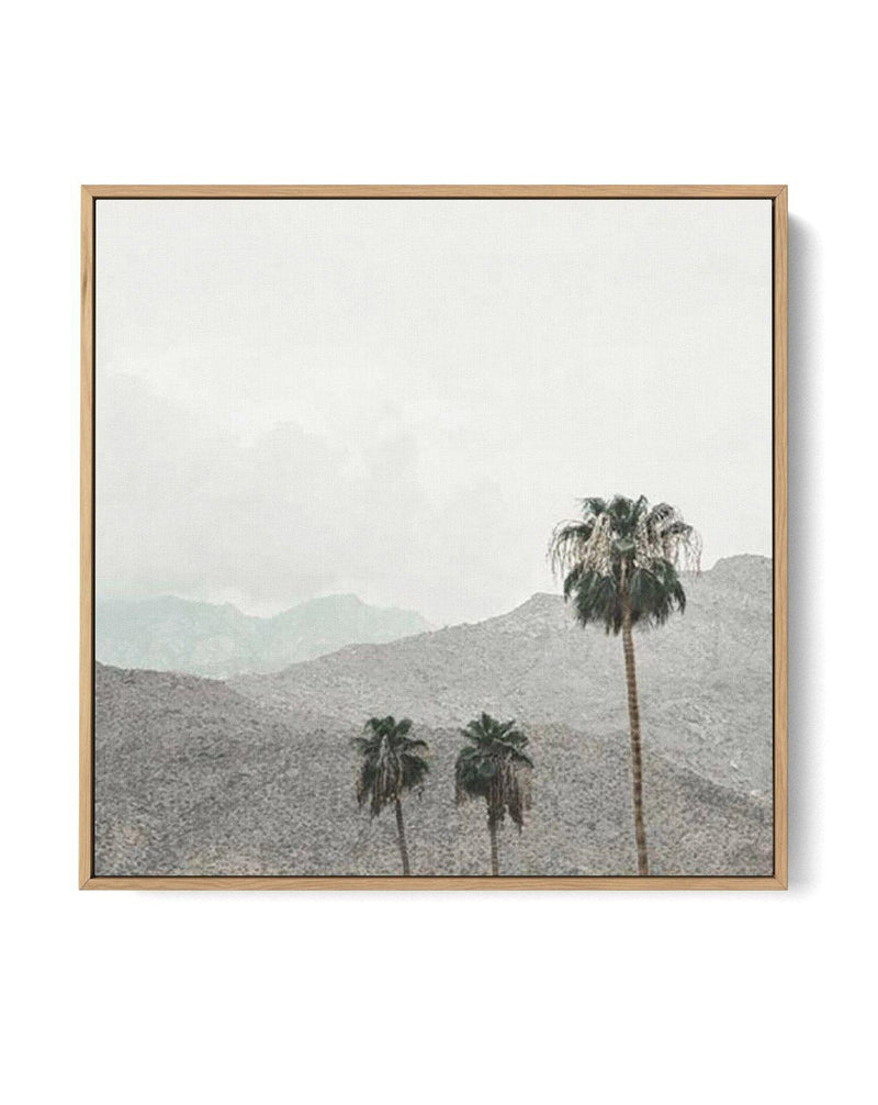 Mountains Of Palm Springs SQ | Framed Canvas-CANVAS-You can shop wall art online with Olive et Oriel for everything from abstract art to fun kids wall art. Our beautiful modern art prints and canvas art are available from large canvas prints to wall art paintings and our proudly Australian artwork collection offers only the highest quality framed large wall art and canvas art Australia - You can buy fashion photography prints or Hampton print posters and paintings on canvas from Olive et Oriel a