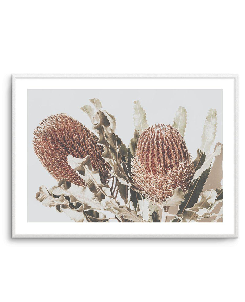 Native Banksia | LS Art Print-PRINT-Olive et Oriel-Olive et Oriel-A4 | 8.3" x 11.7" | 21 x 29.7cm-Unframed Art Print-With White Border-Buy-Australian-Art-Prints-Online-with-Olive-et-Oriel-Your-Artwork-Specialists-Austrailia-Decorate-With-Coastal-Photo-Wall-Art-Prints-From-Our-Beach-House-Artwork-Collection-Fine-Poster-and-Framed-Artwork
