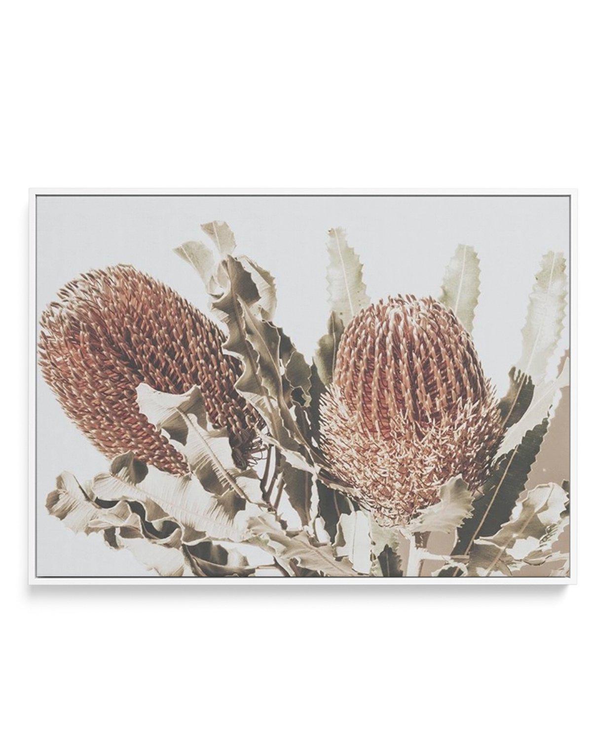 Native Banksia | LS | Framed Canvas-CANVAS-You can shop wall art online with Olive et Oriel for everything from abstract art to fun kids wall art. Our beautiful modern art prints and canvas art are available from large canvas prints to wall art paintings and our proudly Australian artwork collection offers only the highest quality framed large wall art and canvas art Australia - You can buy fashion photography prints or Hampton print posters and paintings on canvas from Olive et Oriel and have t