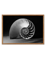 Nautilus B&W Art Print-PRINT-Olive et Oriel-Olive et Oriel-50x70 cm | 19.6" x 27.5"-Walnut-With White Border-Buy-Australian-Art-Prints-Online-with-Olive-et-Oriel-Your-Artwork-Specialists-Austrailia-Decorate-With-Coastal-Photo-Wall-Art-Prints-From-Our-Beach-House-Artwork-Collection-Fine-Poster-and-Framed-Artwork