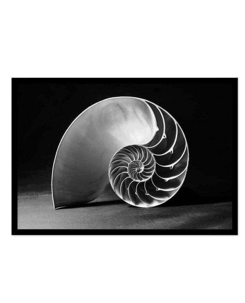 Nautilus B&W Art Print-PRINT-Olive et Oriel-Olive et Oriel-A5 | 5.8" x 8.3" | 14.8 x 21cm-Black-With White Border-Buy-Australian-Art-Prints-Online-with-Olive-et-Oriel-Your-Artwork-Specialists-Austrailia-Decorate-With-Coastal-Photo-Wall-Art-Prints-From-Our-Beach-House-Artwork-Collection-Fine-Poster-and-Framed-Artwork