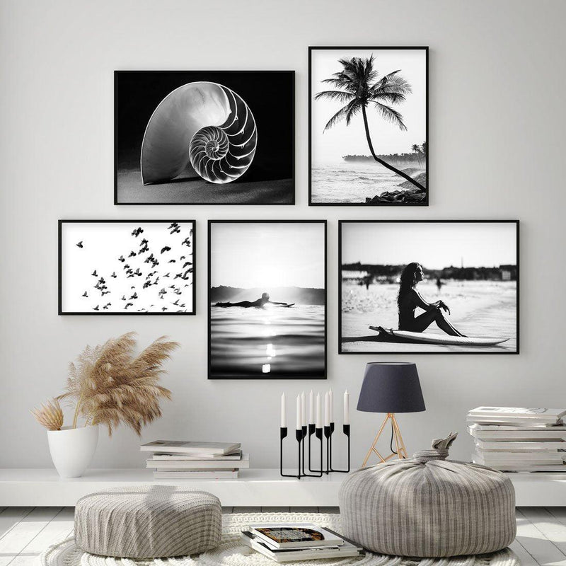 Nautilus B&W Art Print-PRINT-Olive et Oriel-Olive et Oriel-Buy-Australian-Art-Prints-Online-with-Olive-et-Oriel-Your-Artwork-Specialists-Austrailia-Decorate-With-Coastal-Photo-Wall-Art-Prints-From-Our-Beach-House-Artwork-Collection-Fine-Poster-and-Framed-Artwork
