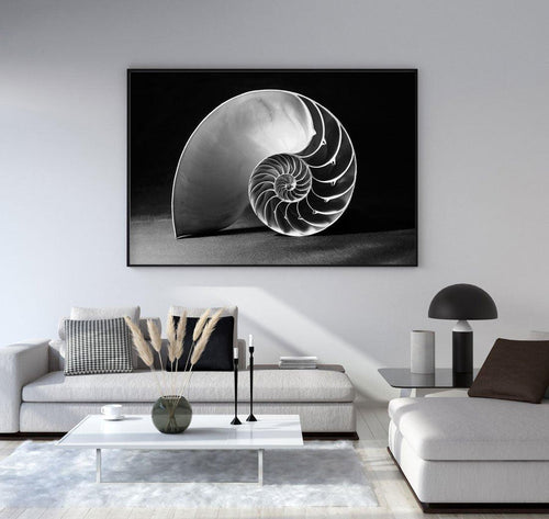 Nautilus B&W Art Print-PRINT-Olive et Oriel-Olive et Oriel-Buy-Australian-Art-Prints-Online-with-Olive-et-Oriel-Your-Artwork-Specialists-Austrailia-Decorate-With-Coastal-Photo-Wall-Art-Prints-From-Our-Beach-House-Artwork-Collection-Fine-Poster-and-Framed-Artwork
