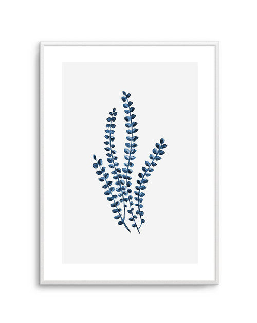 Neptunes Necklace Art Print-PRINT-Olive et Oriel-Olive et Oriel-A5 | 5.8" x 8.3" | 14.8 x 21cm-Unframed Art Print-With White Border-Buy-Australian-Art-Prints-Online-with-Olive-et-Oriel-Your-Artwork-Specialists-Austrailia-Decorate-With-Coastal-Photo-Wall-Art-Prints-From-Our-Beach-House-Artwork-Collection-Fine-Poster-and-Framed-Artwork
