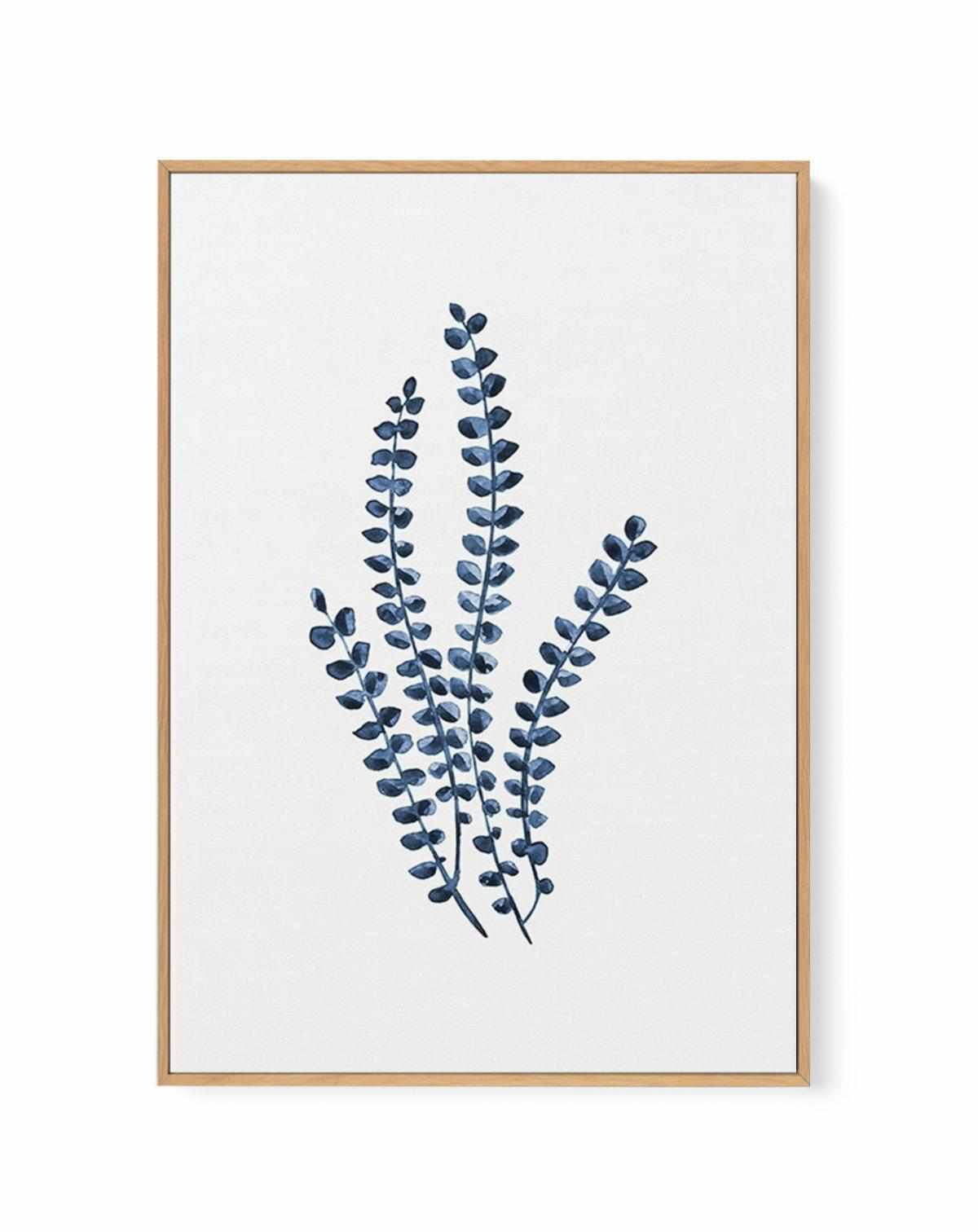 Neptunes Necklace | Framed Canvas Art Print