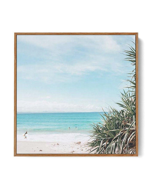 No Surf Wategos SQ | Framed Canvas-CANVAS-You can shop wall art online with Olive et Oriel for everything from abstract art to fun kids wall art. Our beautiful modern art prints and canvas art are available from large canvas prints to wall art paintings and our proudly Australian artwork collection offers only the highest quality framed large wall art and canvas art Australia - You can buy fashion photography prints or Hampton print posters and paintings on canvas from Olive et Oriel and have th