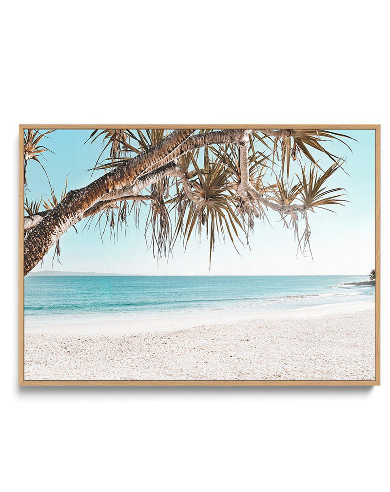 Noosa Days LS | Framed Canvas-CANVAS-You can shop wall art online with Olive et Oriel for everything from abstract art to fun kids wall art. Our beautiful modern art prints and canvas art are available from large canvas prints to wall art paintings and our proudly Australian artwork collection offers only the highest quality framed large wall art and canvas art Australia - You can buy fashion photography prints or Hampton print posters and paintings on canvas from Olive et Oriel and have them de