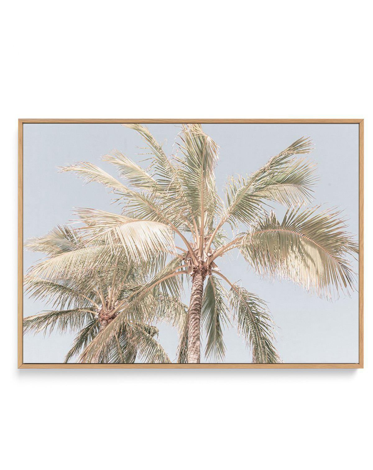 Noosa Palms I | LS | Framed Canvas-CANVAS-You can shop wall art online with Olive et Oriel for everything from abstract art to fun kids wall art. Our beautiful modern art prints and canvas art are available from large canvas prints to wall art paintings and our proudly Australian artwork collection offers only the highest quality framed large wall art and canvas art Australia - You can buy fashion photography prints or Hampton print posters and paintings on canvas from Olive et Oriel and have th