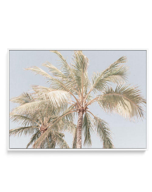 Noosa Palms I | LS | Framed Canvas-CANVAS-You can shop wall art online with Olive et Oriel for everything from abstract art to fun kids wall art. Our beautiful modern art prints and canvas art are available from large canvas prints to wall art paintings and our proudly Australian artwork collection offers only the highest quality framed large wall art and canvas art Australia - You can buy fashion photography prints or Hampton print posters and paintings on canvas from Olive et Oriel and have th