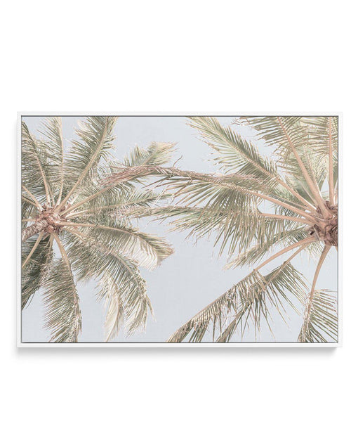 Noosa Palms II | Framed Canvas-CANVAS-You can shop wall art online with Olive et Oriel for everything from abstract art to fun kids wall art. Our beautiful modern art prints and canvas art are available from large canvas prints to wall art paintings and our proudly Australian artwork collection offers only the highest quality framed large wall art and canvas art Australia - You can buy fashion photography prints or Hampton print posters and paintings on canvas from Olive et Oriel and have them d