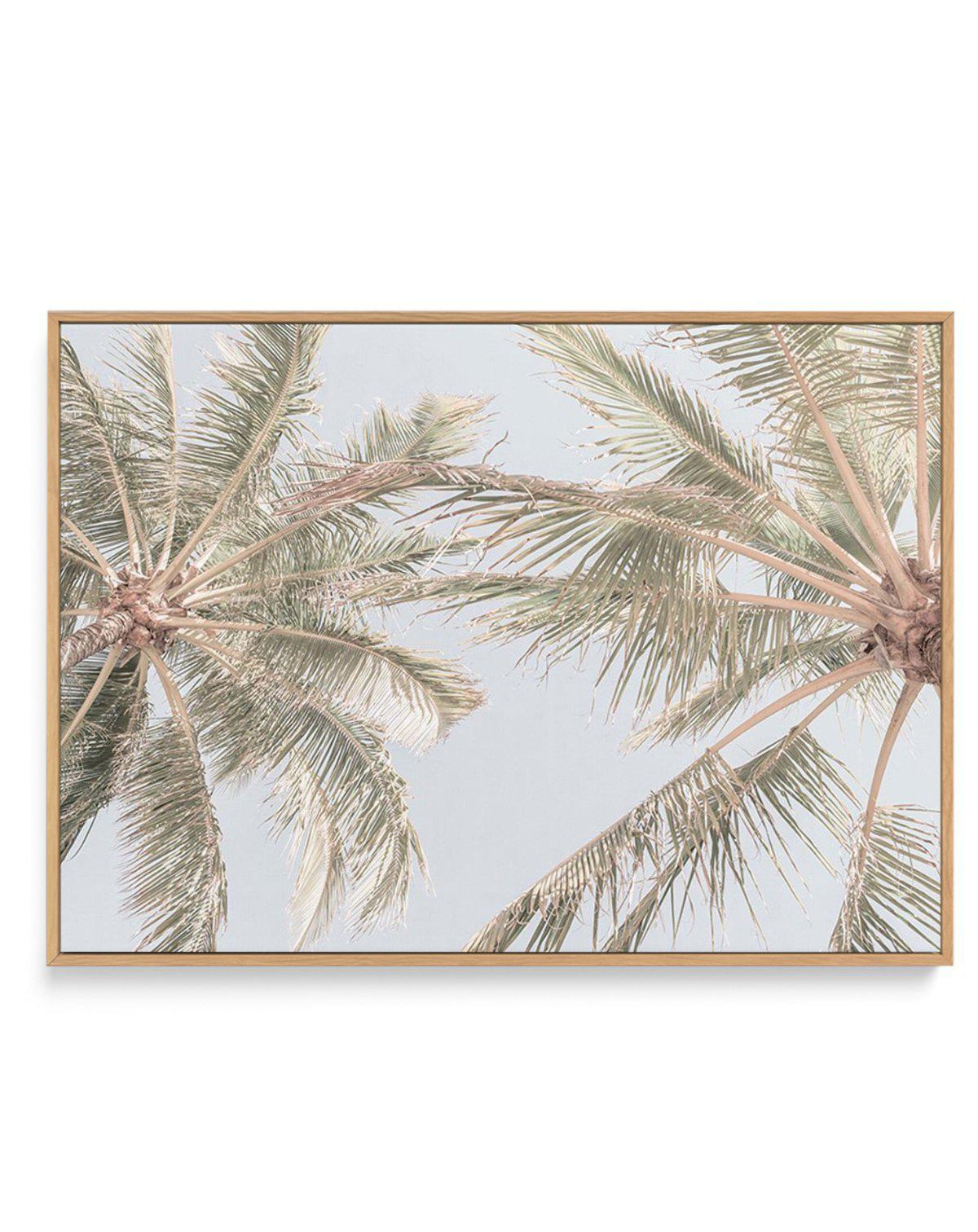 Noosa Palms II | Framed Canvas-CANVAS-You can shop wall art online with Olive et Oriel for everything from abstract art to fun kids wall art. Our beautiful modern art prints and canvas art are available from large canvas prints to wall art paintings and our proudly Australian artwork collection offers only the highest quality framed large wall art and canvas art Australia - You can buy fashion photography prints or Hampton print posters and paintings on canvas from Olive et Oriel and have them d