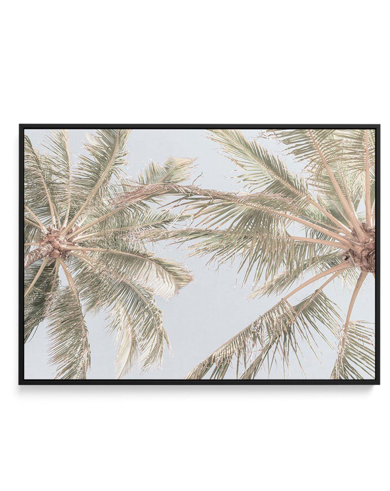Noosa Palms II | Framed Canvas-CANVAS-You can shop wall art online with Olive et Oriel for everything from abstract art to fun kids wall art. Our beautiful modern art prints and canvas art are available from large canvas prints to wall art paintings and our proudly Australian artwork collection offers only the highest quality framed large wall art and canvas art Australia - You can buy fashion photography prints or Hampton print posters and paintings on canvas from Olive et Oriel and have them d