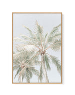 Noosa Palms | PT | Framed Canvas-CANVAS-You can shop wall art online with Olive et Oriel for everything from abstract art to fun kids wall art. Our beautiful modern art prints and canvas art are available from large canvas prints to wall art paintings and our proudly Australian artwork collection offers only the highest quality framed large wall art and canvas art Australia - You can buy fashion photography prints or Hampton print posters and paintings on canvas from Olive et Oriel and have them