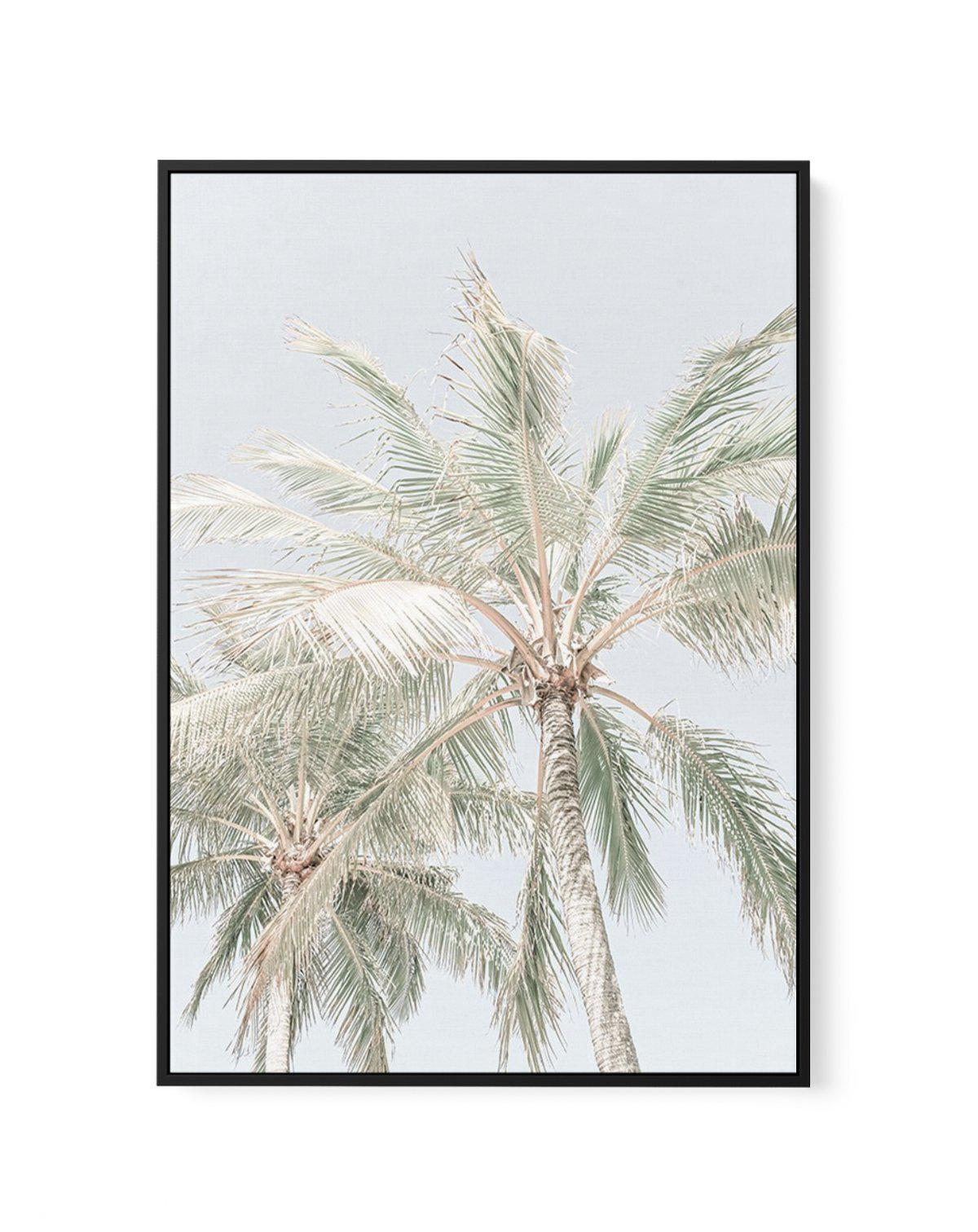 Noosa Palms | PT | Framed Canvas-CANVAS-You can shop wall art online with Olive et Oriel for everything from abstract art to fun kids wall art. Our beautiful modern art prints and canvas art are available from large canvas prints to wall art paintings and our proudly Australian artwork collection offers only the highest quality framed large wall art and canvas art Australia - You can buy fashion photography prints or Hampton print posters and paintings on canvas from Olive et Oriel and have them