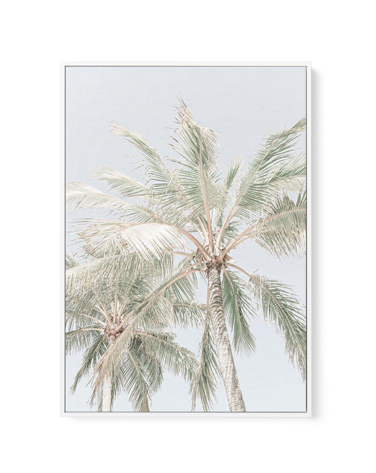 Noosa Palms | PT | Framed Canvas-CANVAS-You can shop wall art online with Olive et Oriel for everything from abstract art to fun kids wall art. Our beautiful modern art prints and canvas art are available from large canvas prints to wall art paintings and our proudly Australian artwork collection offers only the highest quality framed large wall art and canvas art Australia - You can buy fashion photography prints or Hampton print posters and paintings on canvas from Olive et Oriel and have them