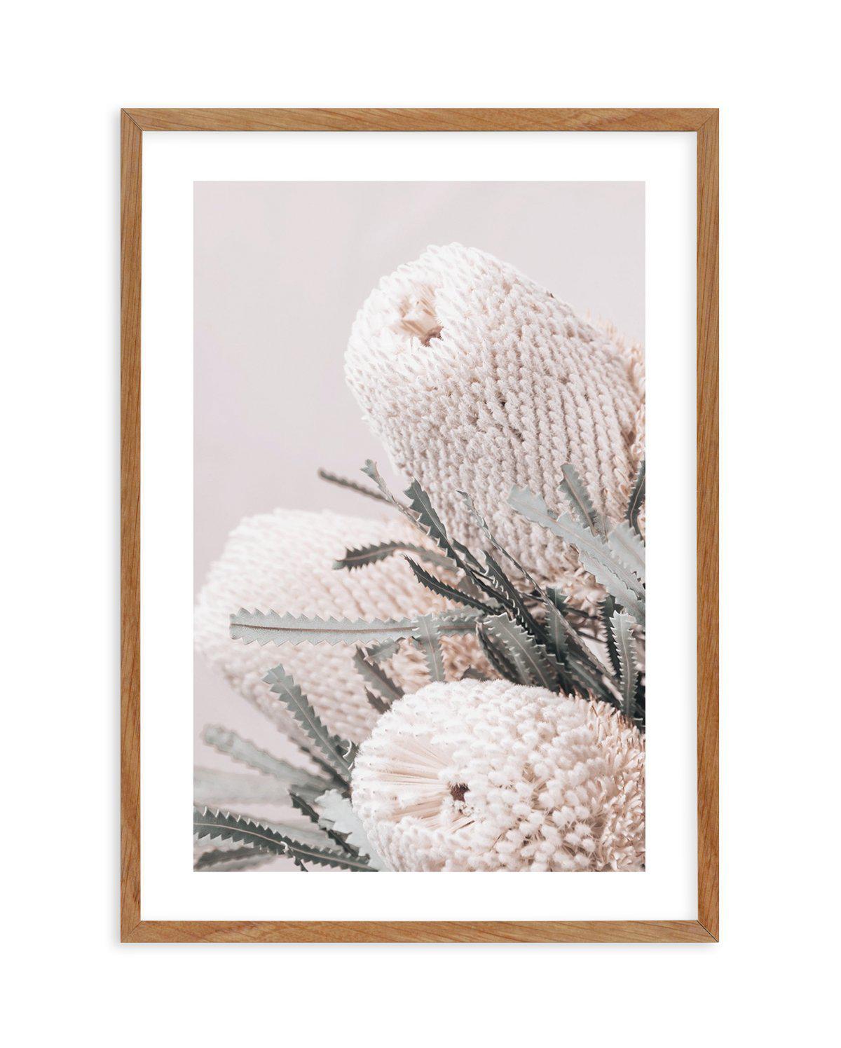 Nude Banksia I Art Print-PRINT-Olive et Oriel-Olive et Oriel-50x70 cm | 19.6" x 27.5"-Walnut-With White Border-Buy-Australian-Art-Prints-Online-with-Olive-et-Oriel-Your-Artwork-Specialists-Austrailia-Decorate-With-Coastal-Photo-Wall-Art-Prints-From-Our-Beach-House-Artwork-Collection-Fine-Poster-and-Framed-Artwork