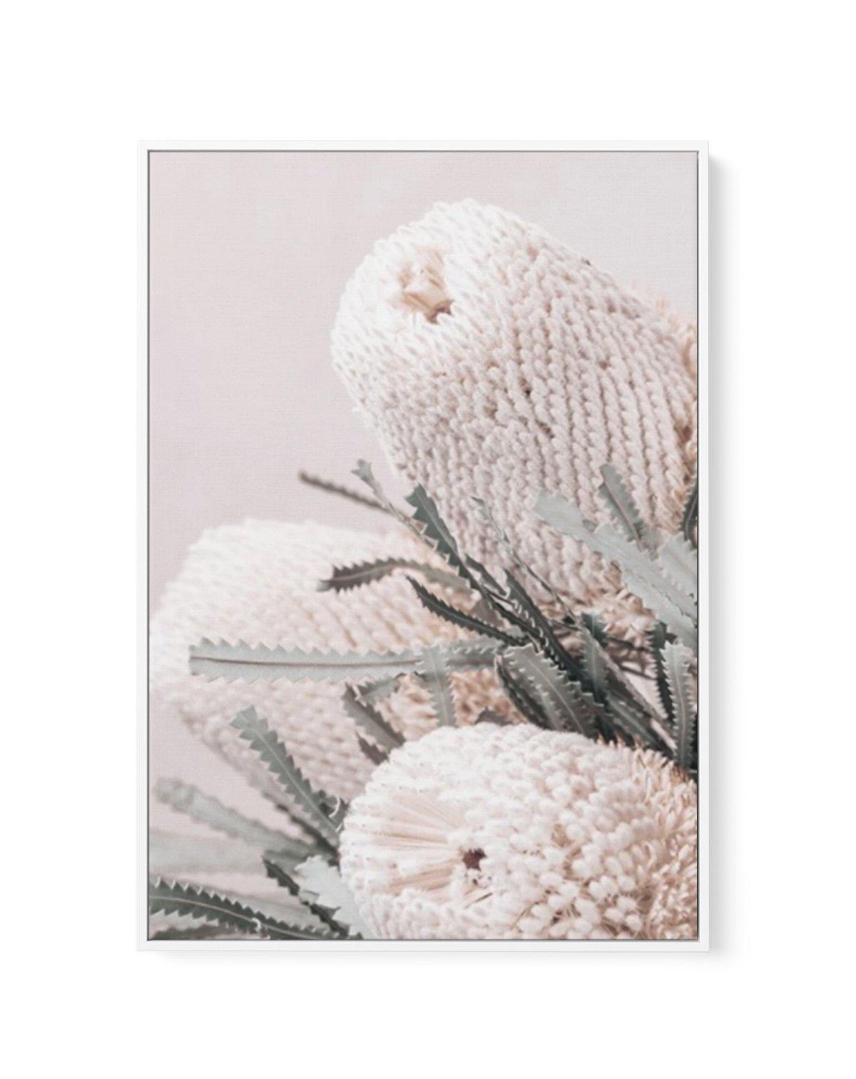 Nude Banksia I | Framed Canvas-CANVAS-You can shop wall art online with Olive et Oriel for everything from abstract art to fun kids wall art. Our beautiful modern art prints and canvas art are available from large canvas prints to wall art paintings and our proudly Australian artwork collection offers only the highest quality framed large wall art and canvas art Australia - You can buy fashion photography prints or Hampton print posters and paintings on canvas from Olive et Oriel and have them d