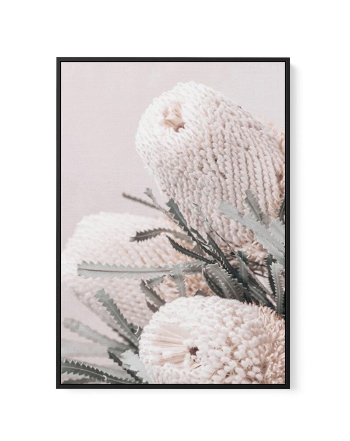 Nude Banksia I | Framed Canvas-CANVAS-You can shop wall art online with Olive et Oriel for everything from abstract art to fun kids wall art. Our beautiful modern art prints and canvas art are available from large canvas prints to wall art paintings and our proudly Australian artwork collection offers only the highest quality framed large wall art and canvas art Australia - You can buy fashion photography prints or Hampton print posters and paintings on canvas from Olive et Oriel and have them d