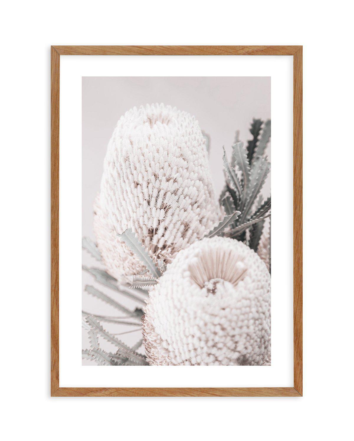 Nude Banksia II Art Print-PRINT-Olive et Oriel-Olive et Oriel-50x70 cm | 19.6" x 27.5"-Walnut-With White Border-Buy-Australian-Art-Prints-Online-with-Olive-et-Oriel-Your-Artwork-Specialists-Austrailia-Decorate-With-Coastal-Photo-Wall-Art-Prints-From-Our-Beach-House-Artwork-Collection-Fine-Poster-and-Framed-Artwork