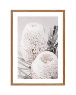 Nude Banksia II Art Print-PRINT-Olive et Oriel-Olive et Oriel-50x70 cm | 19.6" x 27.5"-Walnut-With White Border-Buy-Australian-Art-Prints-Online-with-Olive-et-Oriel-Your-Artwork-Specialists-Austrailia-Decorate-With-Coastal-Photo-Wall-Art-Prints-From-Our-Beach-House-Artwork-Collection-Fine-Poster-and-Framed-Artwork