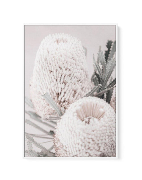 Nude Banksia II | Framed Canvas-CANVAS-You can shop wall art online with Olive et Oriel for everything from abstract art to fun kids wall art. Our beautiful modern art prints and canvas art are available from large canvas prints to wall art paintings and our proudly Australian artwork collection offers only the highest quality framed large wall art and canvas art Australia - You can buy fashion photography prints or Hampton print posters and paintings on canvas from Olive et Oriel and have them 