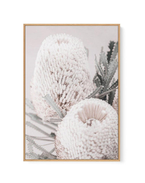 Nude Banksia II | Framed Canvas-CANVAS-You can shop wall art online with Olive et Oriel for everything from abstract art to fun kids wall art. Our beautiful modern art prints and canvas art are available from large canvas prints to wall art paintings and our proudly Australian artwork collection offers only the highest quality framed large wall art and canvas art Australia - You can buy fashion photography prints or Hampton print posters and paintings on canvas from Olive et Oriel and have them 