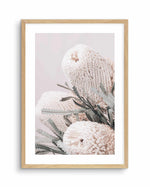 Nude Banksia I Art Print-PRINT-Olive et Oriel-Olive et Oriel-A4 | 8.3" x 11.7" | 21 x 29.7cm-Oak-With White Border-Buy-Australian-Art-Prints-Online-with-Olive-et-Oriel-Your-Artwork-Specialists-Austrailia-Decorate-With-Coastal-Photo-Wall-Art-Prints-From-Our-Beach-House-Artwork-Collection-Fine-Poster-and-Framed-Artwork