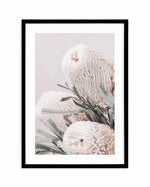 Nude Banksia I Art Print-PRINT-Olive et Oriel-Olive et Oriel-A4 | 8.3" x 11.7" | 21 x 29.7cm-Black-With White Border-Buy-Australian-Art-Prints-Online-with-Olive-et-Oriel-Your-Artwork-Specialists-Austrailia-Decorate-With-Coastal-Photo-Wall-Art-Prints-From-Our-Beach-House-Artwork-Collection-Fine-Poster-and-Framed-Artwork