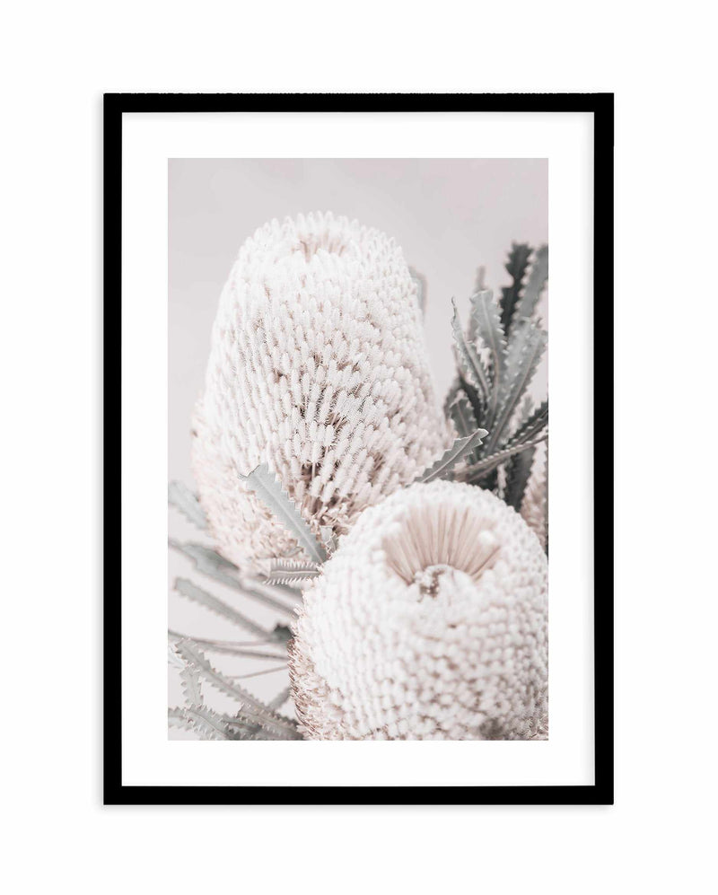Nude Banksia II Art Print-PRINT-Olive et Oriel-Olive et Oriel-A4 | 8.3" x 11.7" | 21 x 29.7cm-Black-With White Border-Buy-Australian-Art-Prints-Online-with-Olive-et-Oriel-Your-Artwork-Specialists-Austrailia-Decorate-With-Coastal-Photo-Wall-Art-Prints-From-Our-Beach-House-Artwork-Collection-Fine-Poster-and-Framed-Artwork