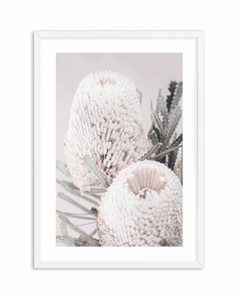 Nude Banksia II Art Print-PRINT-Olive et Oriel-Olive et Oriel-A4 | 8.3" x 11.7" | 21 x 29.7cm-White-With White Border-Buy-Australian-Art-Prints-Online-with-Olive-et-Oriel-Your-Artwork-Specialists-Austrailia-Decorate-With-Coastal-Photo-Wall-Art-Prints-From-Our-Beach-House-Artwork-Collection-Fine-Poster-and-Framed-Artwork
