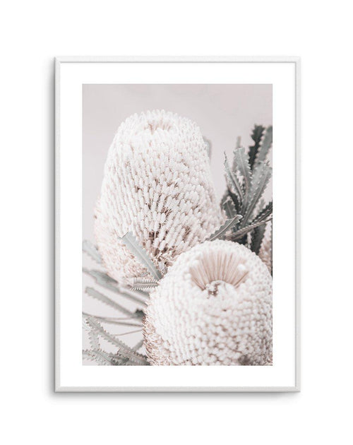 Nude Banksia II Art Print-PRINT-Olive et Oriel-Olive et Oriel-A4 | 8.3" x 11.7" | 21 x 29.7cm-Unframed Art Print-With White Border-Buy-Australian-Art-Prints-Online-with-Olive-et-Oriel-Your-Artwork-Specialists-Austrailia-Decorate-With-Coastal-Photo-Wall-Art-Prints-From-Our-Beach-House-Artwork-Collection-Fine-Poster-and-Framed-Artwork