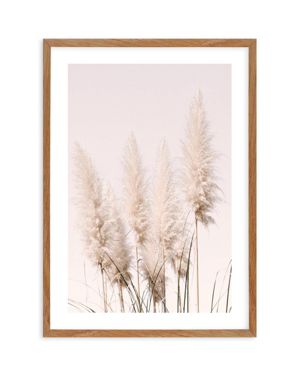 Nude Pampas I Art Print-PRINT-Olive et Oriel-Olive et Oriel-50x70 cm | 19.6" x 27.5"-Walnut-With White Border-Buy-Australian-Art-Prints-Online-with-Olive-et-Oriel-Your-Artwork-Specialists-Austrailia-Decorate-With-Coastal-Photo-Wall-Art-Prints-From-Our-Beach-House-Artwork-Collection-Fine-Poster-and-Framed-Artwork