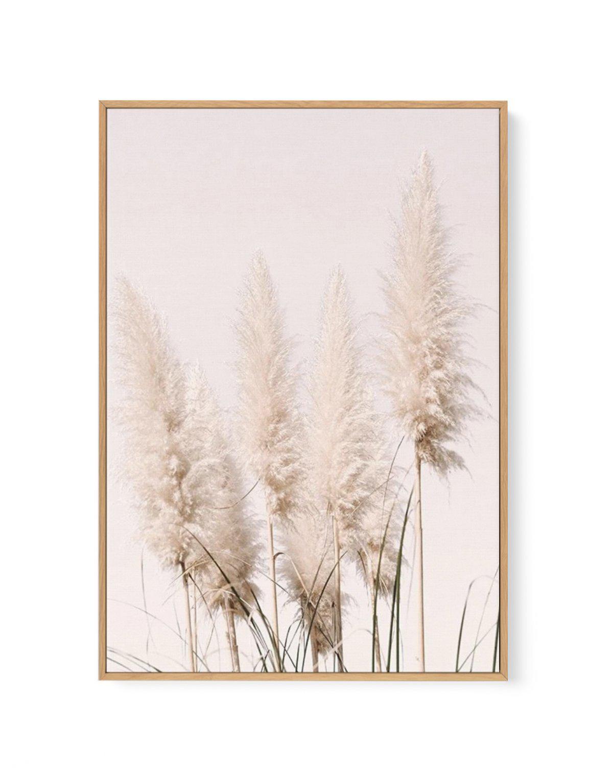 Nude Pampas I | Framed Canvas-CANVAS-You can shop wall art online with Olive et Oriel for everything from abstract art to fun kids wall art. Our beautiful modern art prints and canvas art are available from large canvas prints to wall art paintings and our proudly Australian artwork collection offers only the highest quality framed large wall art and canvas art Australia - You can buy fashion photography prints or Hampton print posters and paintings on canvas from Olive et Oriel and have them de