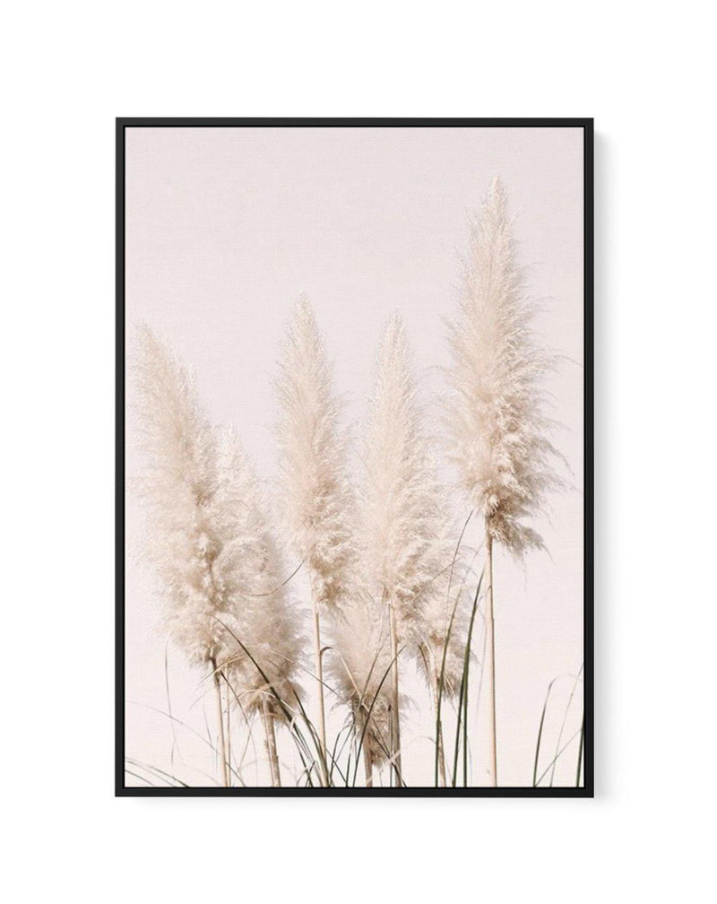 Nude Pampas I | Framed Canvas-CANVAS-You can shop wall art online with Olive et Oriel for everything from abstract art to fun kids wall art. Our beautiful modern art prints and canvas art are available from large canvas prints to wall art paintings and our proudly Australian artwork collection offers only the highest quality framed large wall art and canvas art Australia - You can buy fashion photography prints or Hampton print posters and paintings on canvas from Olive et Oriel and have them de