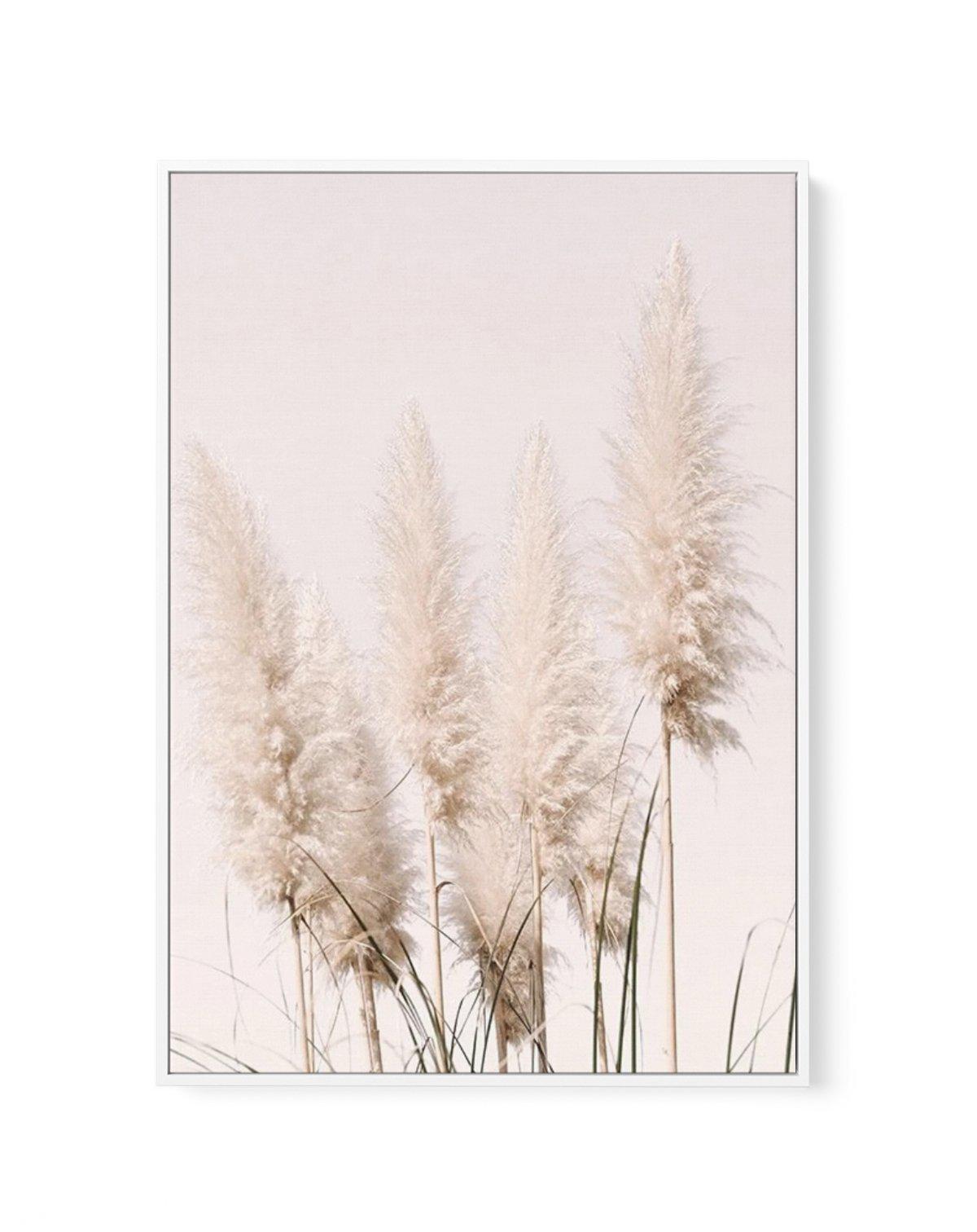 Nude Pampas I | Framed Canvas-CANVAS-You can shop wall art online with Olive et Oriel for everything from abstract art to fun kids wall art. Our beautiful modern art prints and canvas art are available from large canvas prints to wall art paintings and our proudly Australian artwork collection offers only the highest quality framed large wall art and canvas art Australia - You can buy fashion photography prints or Hampton print posters and paintings on canvas from Olive et Oriel and have them de