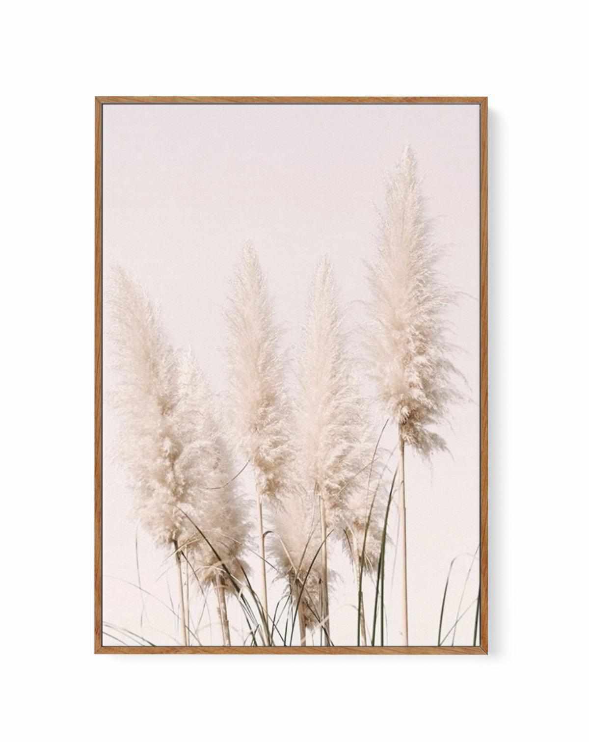 Nude Pampas I | Framed Canvas Art Print