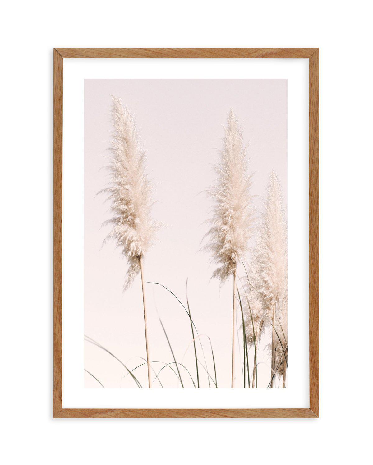 Nude Pampas II Art Print-PRINT-Olive et Oriel-Olive et Oriel-50x70 cm | 19.6" x 27.5"-Walnut-With White Border-Buy-Australian-Art-Prints-Online-with-Olive-et-Oriel-Your-Artwork-Specialists-Austrailia-Decorate-With-Coastal-Photo-Wall-Art-Prints-From-Our-Beach-House-Artwork-Collection-Fine-Poster-and-Framed-Artwork