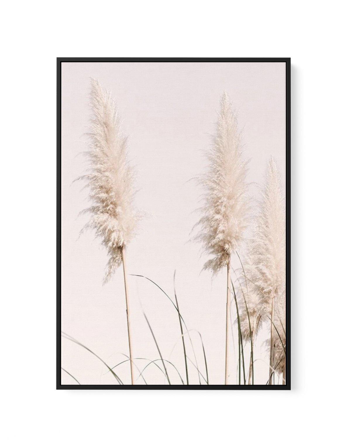 Nude Pampas II | Framed Canvas-CANVAS-You can shop wall art online with Olive et Oriel for everything from abstract art to fun kids wall art. Our beautiful modern art prints and canvas art are available from large canvas prints to wall art paintings and our proudly Australian artwork collection offers only the highest quality framed large wall art and canvas art Australia - You can buy fashion photography prints or Hampton print posters and paintings on canvas from Olive et Oriel and have them d