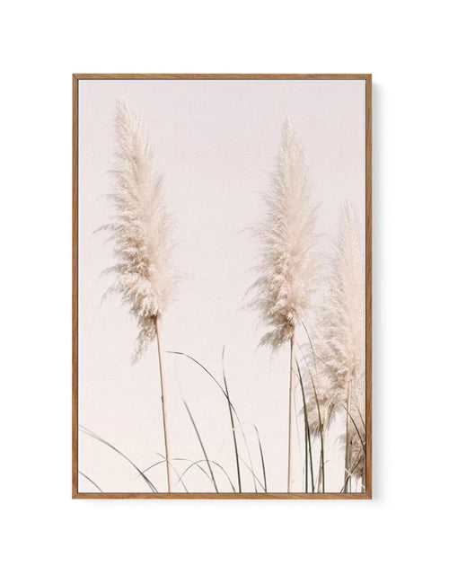 Nude Pampas II | Framed Canvas-CANVAS-You can shop wall art online with Olive et Oriel for everything from abstract art to fun kids wall art. Our beautiful modern art prints and canvas art are available from large canvas prints to wall art paintings and our proudly Australian artwork collection offers only the highest quality framed large wall art and canvas art Australia - You can buy fashion photography prints or Hampton print posters and paintings on canvas from Olive et Oriel and have them d