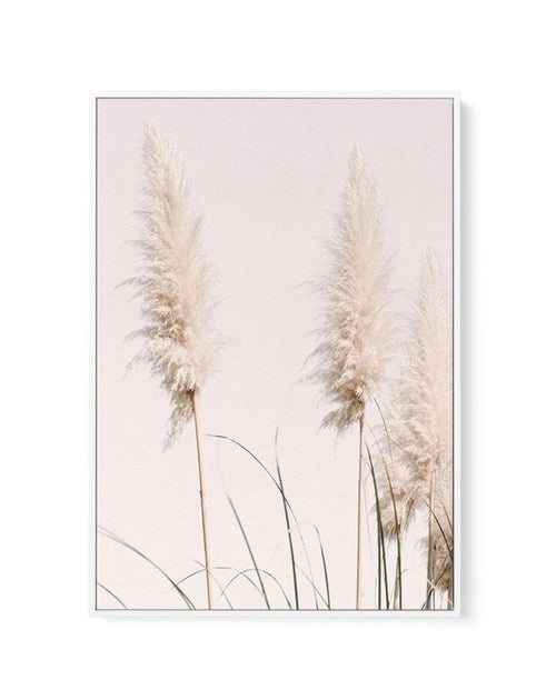 Nude Pampas II | Framed Canvas-CANVAS-You can shop wall art online with Olive et Oriel for everything from abstract art to fun kids wall art. Our beautiful modern art prints and canvas art are available from large canvas prints to wall art paintings and our proudly Australian artwork collection offers only the highest quality framed large wall art and canvas art Australia - You can buy fashion photography prints or Hampton print posters and paintings on canvas from Olive et Oriel and have them d