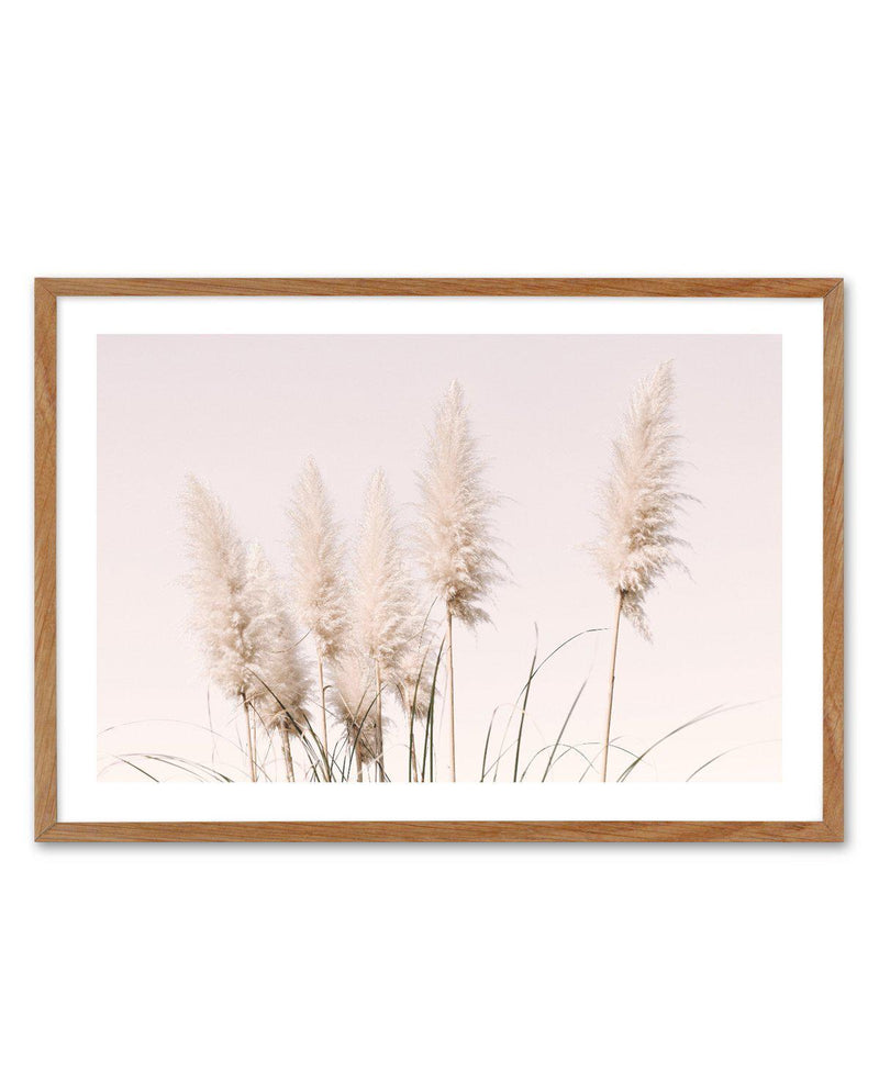 Nude Pampas | LS Art Print-PRINT-Olive et Oriel-Olive et Oriel-50x70 cm | 19.6" x 27.5"-Walnut-With White Border-Buy-Australian-Art-Prints-Online-with-Olive-et-Oriel-Your-Artwork-Specialists-Austrailia-Decorate-With-Coastal-Photo-Wall-Art-Prints-From-Our-Beach-House-Artwork-Collection-Fine-Poster-and-Framed-Artwork
