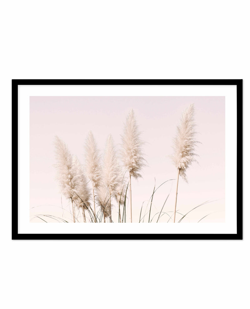 Nude Pampas | LS Art Print-PRINT-Olive et Oriel-Olive et Oriel-A4 | 8.3" x 11.7" | 21 x 29.7cm-Black-With White Border-Buy-Australian-Art-Prints-Online-with-Olive-et-Oriel-Your-Artwork-Specialists-Austrailia-Decorate-With-Coastal-Photo-Wall-Art-Prints-From-Our-Beach-House-Artwork-Collection-Fine-Poster-and-Framed-Artwork