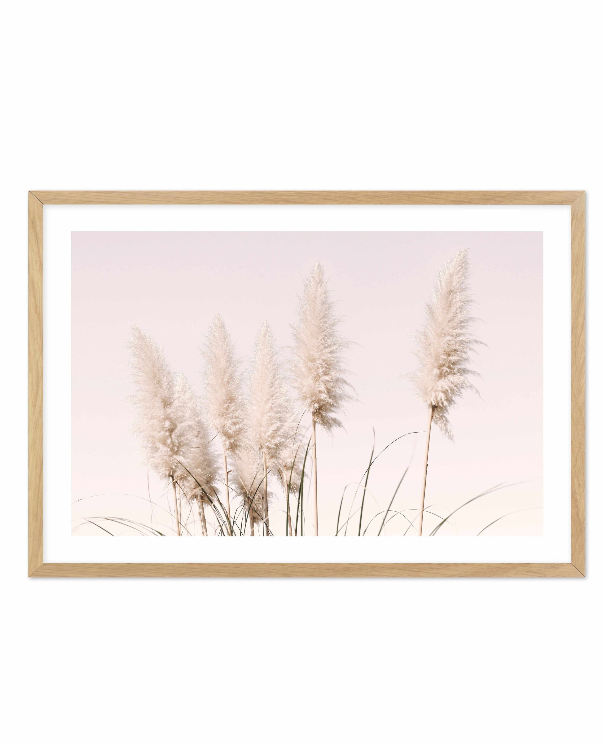 Nude Pampas | LS Art Print-PRINT-Olive et Oriel-Olive et Oriel-A4 | 8.3" x 11.7" | 21 x 29.7cm-Oak-With White Border-Buy-Australian-Art-Prints-Online-with-Olive-et-Oriel-Your-Artwork-Specialists-Austrailia-Decorate-With-Coastal-Photo-Wall-Art-Prints-From-Our-Beach-House-Artwork-Collection-Fine-Poster-and-Framed-Artwork