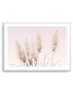 Nude Pampas | LS Art Print-PRINT-Olive et Oriel-Olive et Oriel-A4 | 8.3" x 11.7" | 21 x 29.7cm-Unframed Art Print-With White Border-Buy-Australian-Art-Prints-Online-with-Olive-et-Oriel-Your-Artwork-Specialists-Austrailia-Decorate-With-Coastal-Photo-Wall-Art-Prints-From-Our-Beach-House-Artwork-Collection-Fine-Poster-and-Framed-Artwork