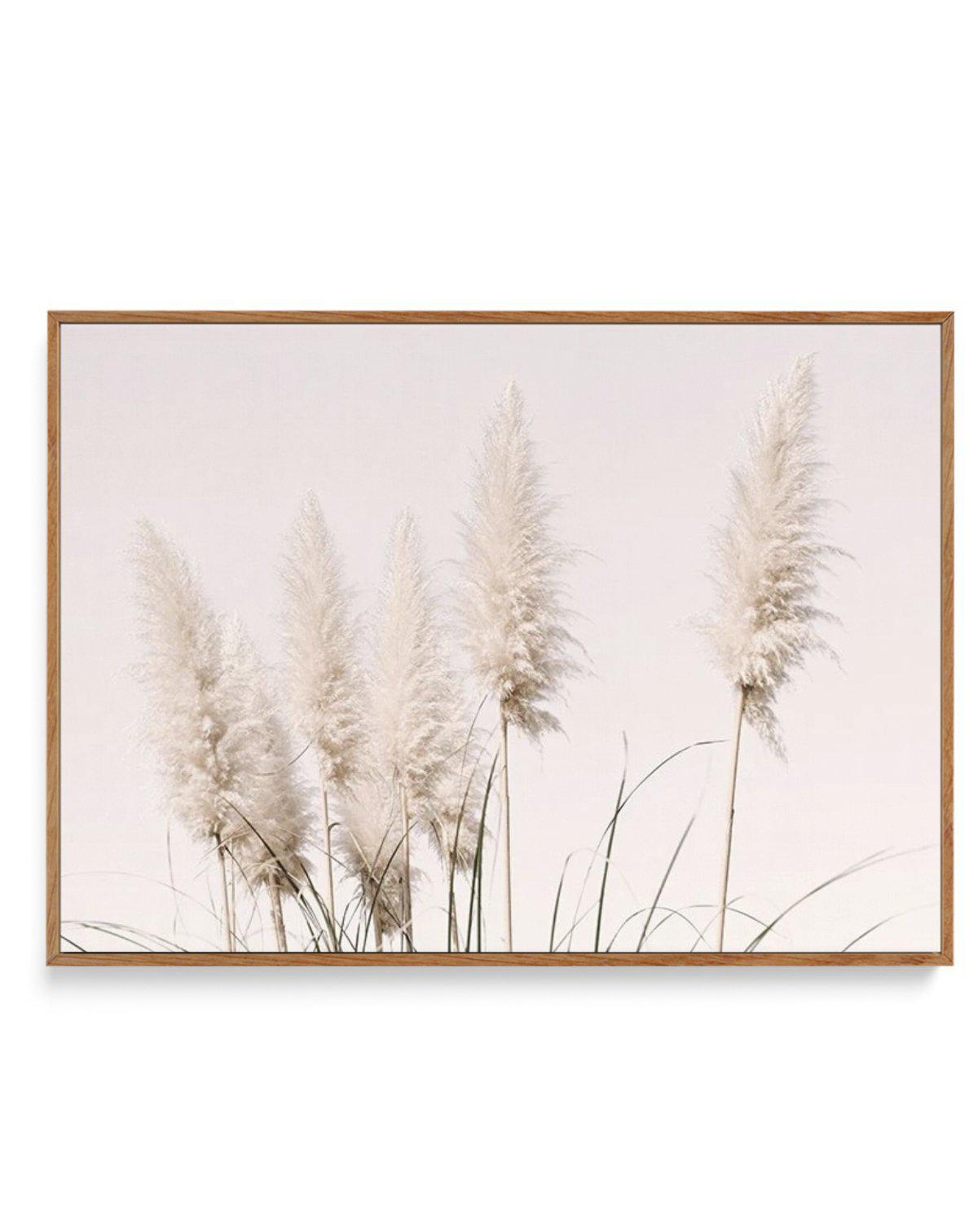 Nude Pampas | LS | Framed Canvas-CANVAS-You can shop wall art online with Olive et Oriel for everything from abstract art to fun kids wall art. Our beautiful modern art prints and canvas art are available from large canvas prints to wall art paintings and our proudly Australian artwork collection offers only the highest quality framed large wall art and canvas art Australia - You can buy fashion photography prints or Hampton print posters and paintings on canvas from Olive et Oriel and have them