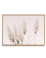 Nude Pampas | LS | Framed Canvas-CANVAS-You can shop wall art online with Olive et Oriel for everything from abstract art to fun kids wall art. Our beautiful modern art prints and canvas art are available from large canvas prints to wall art paintings and our proudly Australian artwork collection offers only the highest quality framed large wall art and canvas art Australia - You can buy fashion photography prints or Hampton print posters and paintings on canvas from Olive et Oriel and have them