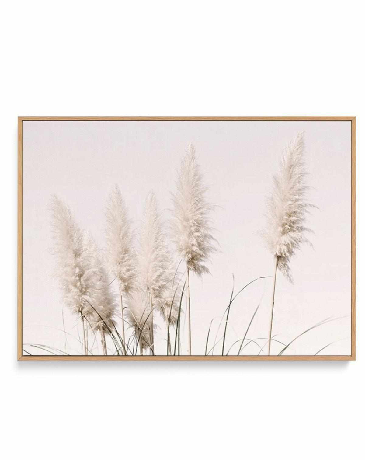 Nude Pampas | LS | Framed Canvas Art Print