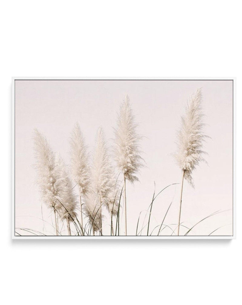 Nude Pampas | LS | Framed Canvas-CANVAS-You can shop wall art online with Olive et Oriel for everything from abstract art to fun kids wall art. Our beautiful modern art prints and canvas art are available from large canvas prints to wall art paintings and our proudly Australian artwork collection offers only the highest quality framed large wall art and canvas art Australia - You can buy fashion photography prints or Hampton print posters and paintings on canvas from Olive et Oriel and have them