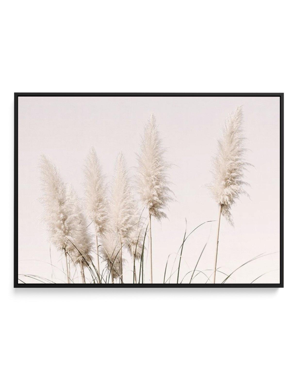 Nude Pampas | LS | Framed Canvas-CANVAS-You can shop wall art online with Olive et Oriel for everything from abstract art to fun kids wall art. Our beautiful modern art prints and canvas art are available from large canvas prints to wall art paintings and our proudly Australian artwork collection offers only the highest quality framed large wall art and canvas art Australia - You can buy fashion photography prints or Hampton print posters and paintings on canvas from Olive et Oriel and have them